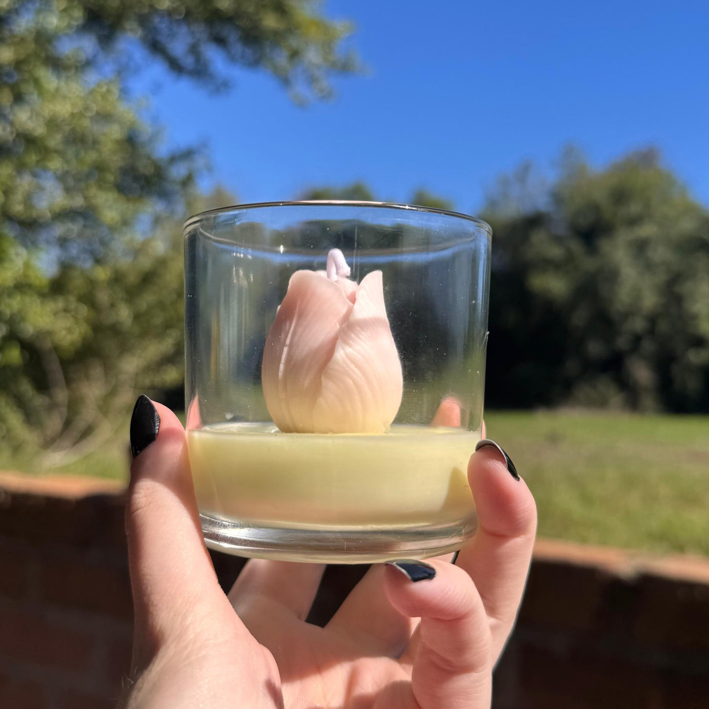 Vela Flor de Tulipa